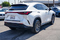 2024 Lexus NX 250 Premium